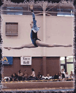 Erika van Dyke doing gymnastics Erika van Dyke doing gymnastics